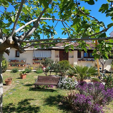 Garden Rooms Ольбия Экстерьер фото